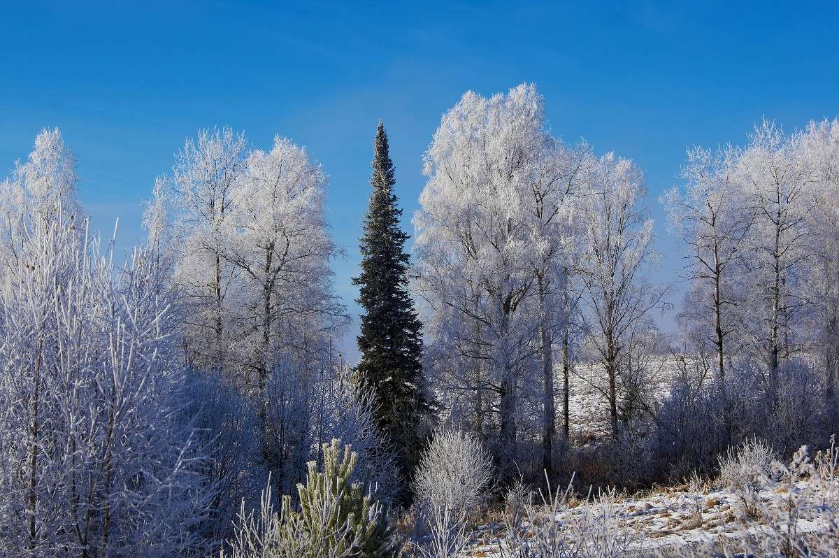 � ���������� ����� �������� ����������� �� PhotoGeek.ru #������ ��� �������