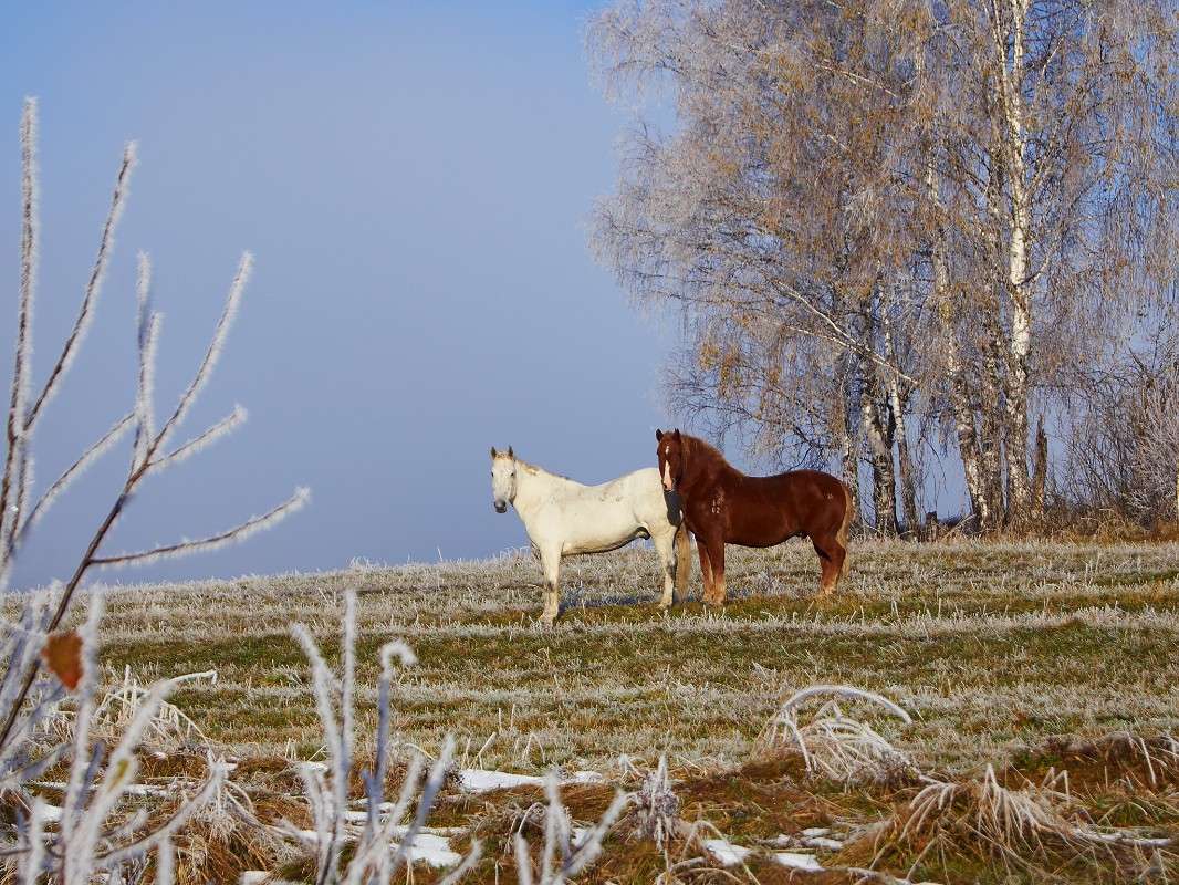 ��� ��� ���? ����� �������� ����������� �� PhotoGeek.ru #�������� ���