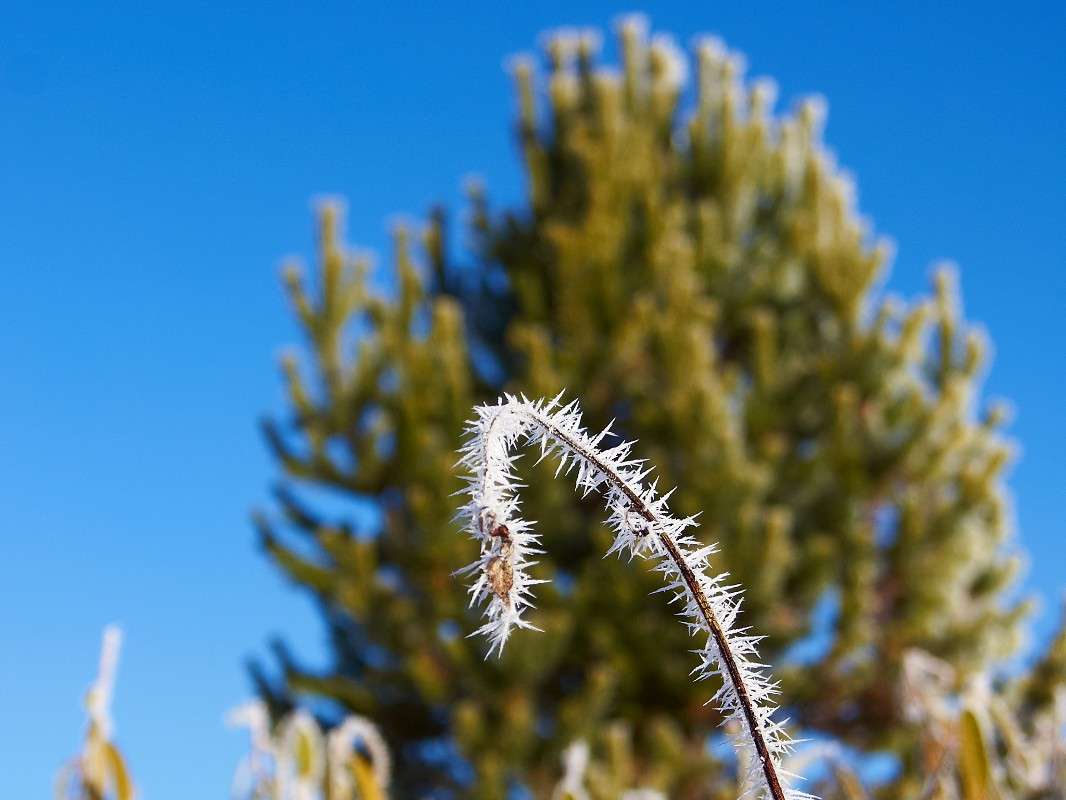 ����� ���� ��� �������� �����������...? ����� �������� ����������� �� PhotoGeek.ru #������ ��� ������� #����� �������������� #����� ��������