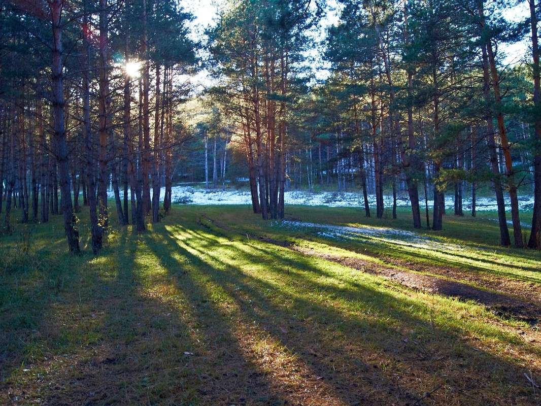 �������� ����� �������� ����������� �� PhotoGeek.ru #������ ��� ������� #���������