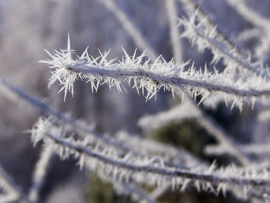 ������� ����� �������� ����������� �� PhotoGeek.ru #������ ��� ������� #���������