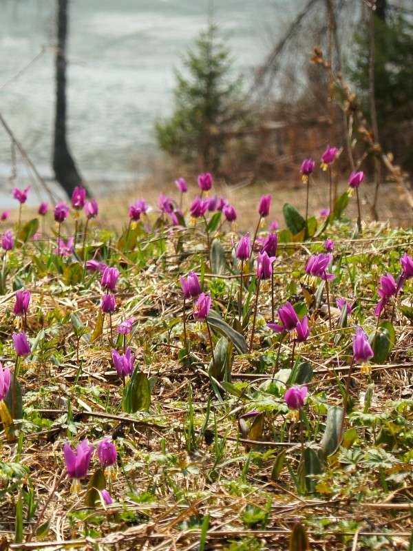 ������ ������ ����� �������� ����������� �� PhotoGeek.ru #������ ��� �������