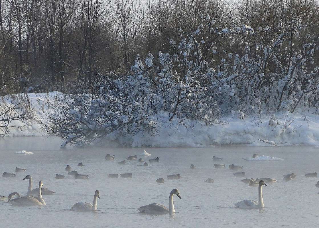 �� �������... ����� �������� ����������� �� PhotoGeek.ru #�������� ��� #������ ��� �������