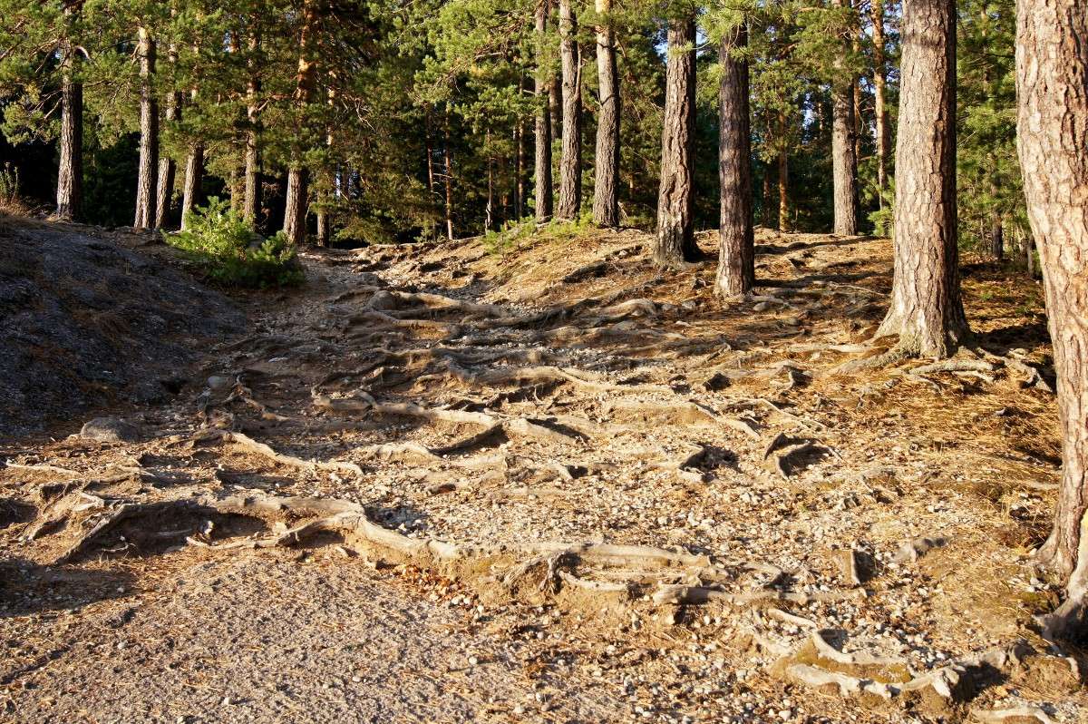 ���������� ����� �������� ����������� �� PhotoGeek.ru #������ ��� �������