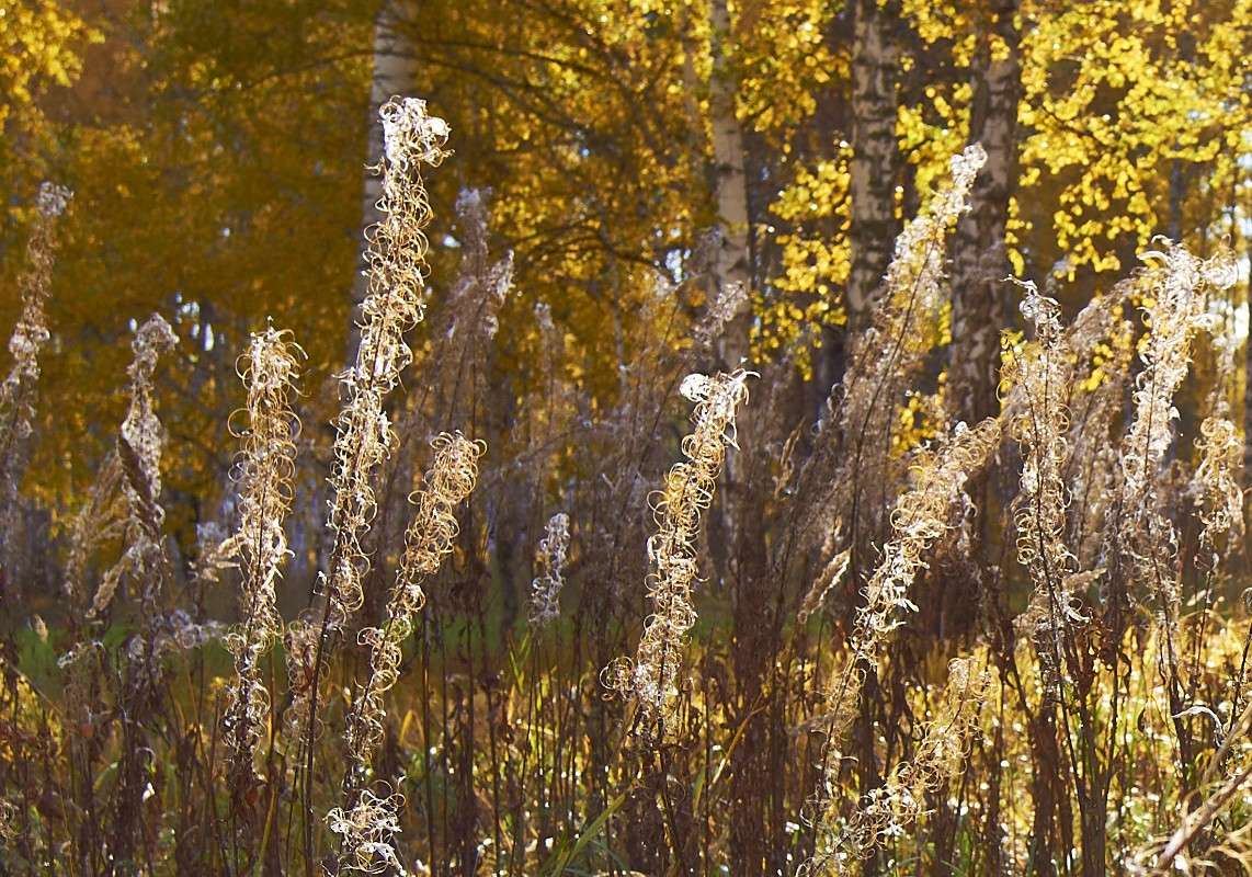 ������� ����� �������� ����������� �� PhotoGeek.ru #������ ��� �������