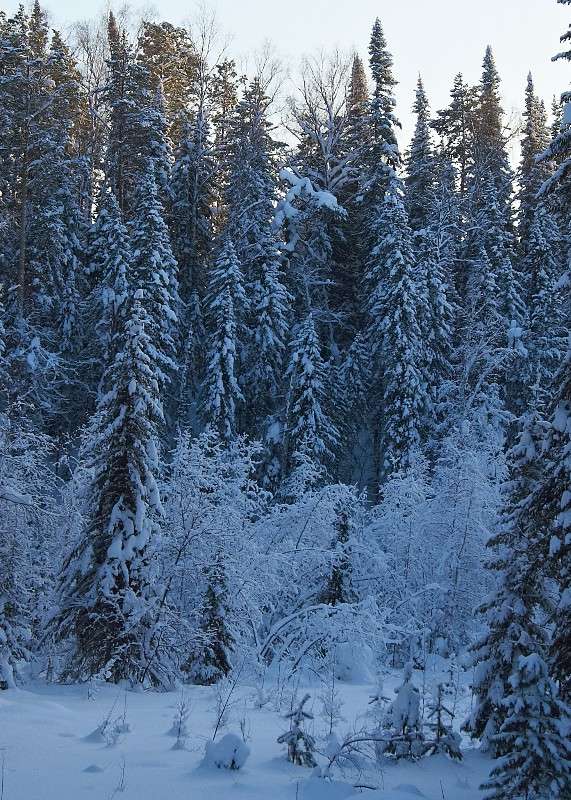 ����� �� ������ ����� �������� ����������� �� PhotoGeek.ru #������ ��� �������