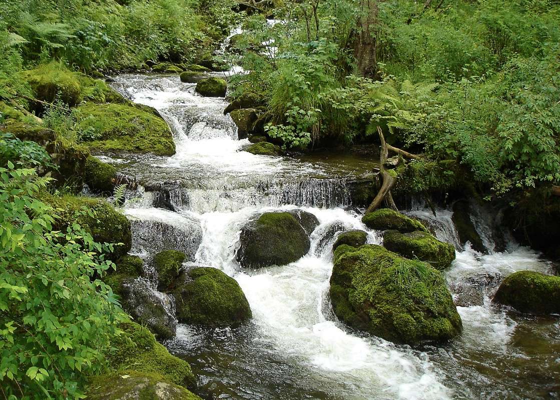 �. ������ ����� �������� ����������� �� PhotoGeek.ru #������ ��� �������