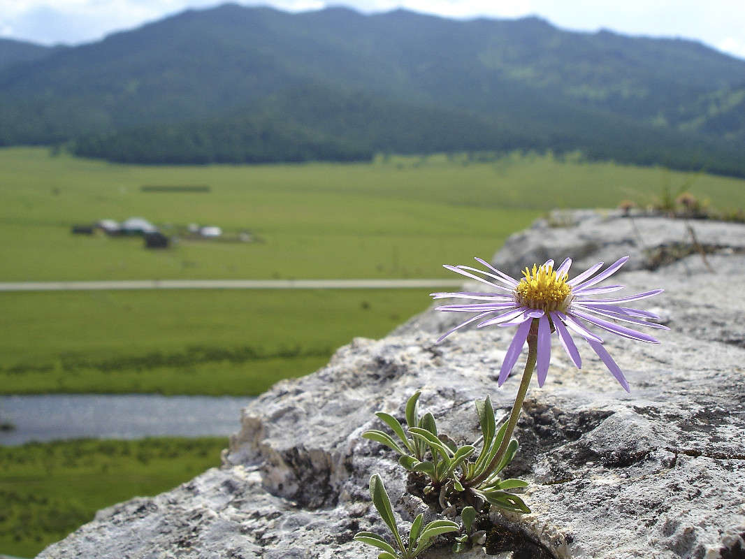 � �� ������... ����� �������� ����������� �� PhotoGeek.ru #������ ��� �������