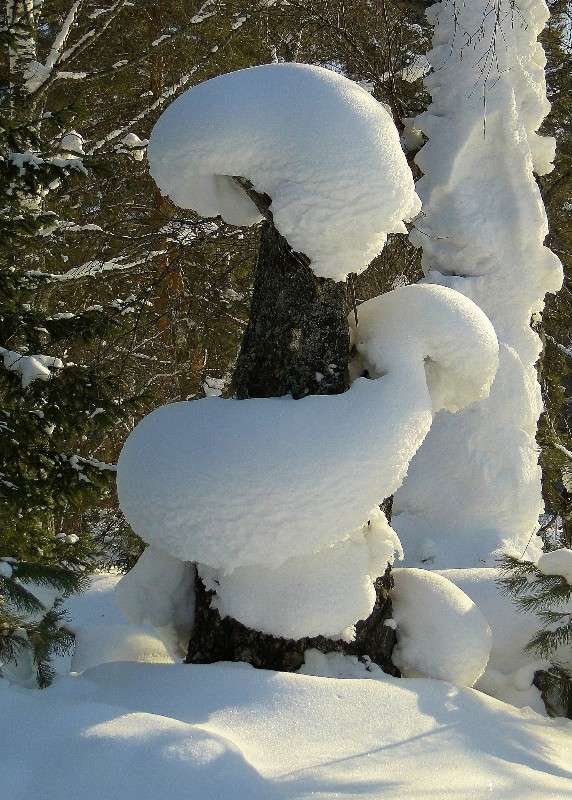 ... ����� �������� ����������� �� PhotoGeek.ru #������ ��� �������