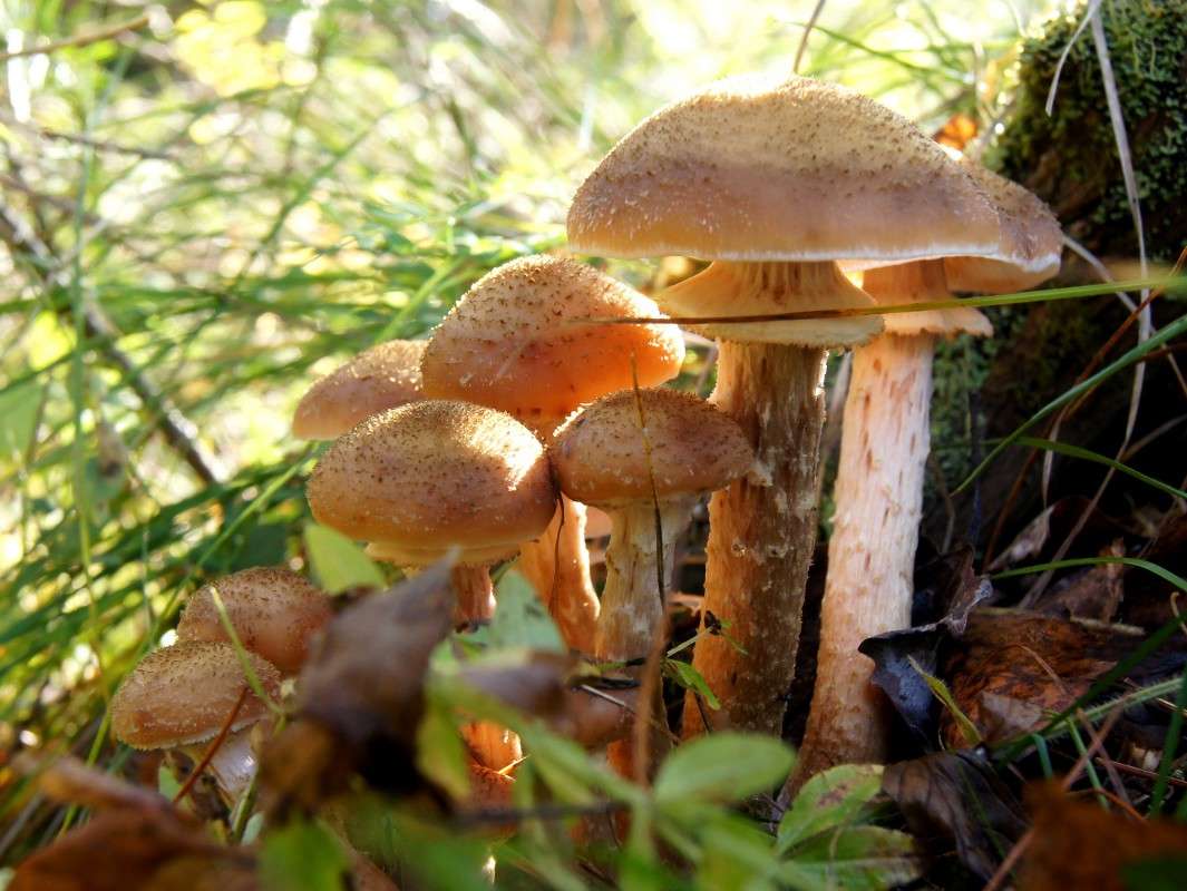 ... ����� �������� ����������� �� PhotoGeek.ru #������ ��� ������� #����� ��������������