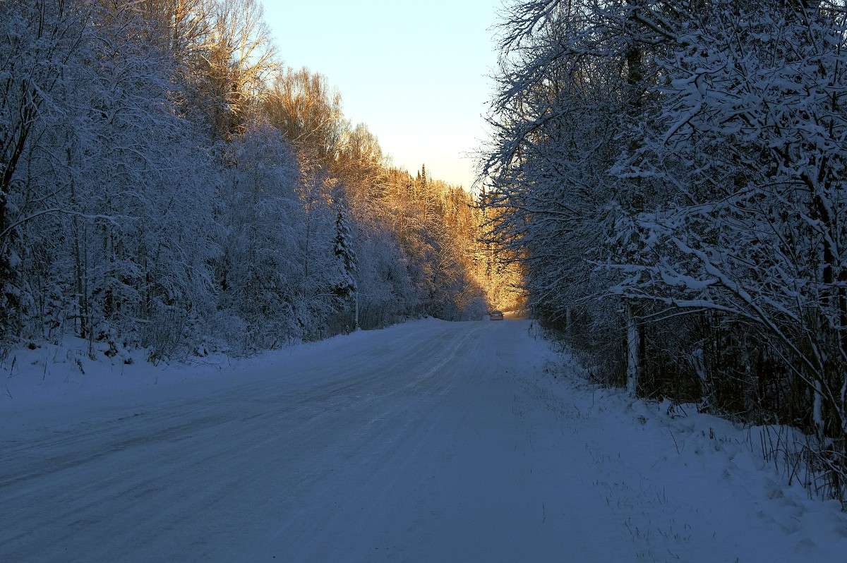 ���� �� ��������� ����� �������� ����������� �� PhotoGeek.ru #������ ��� ������� #���������