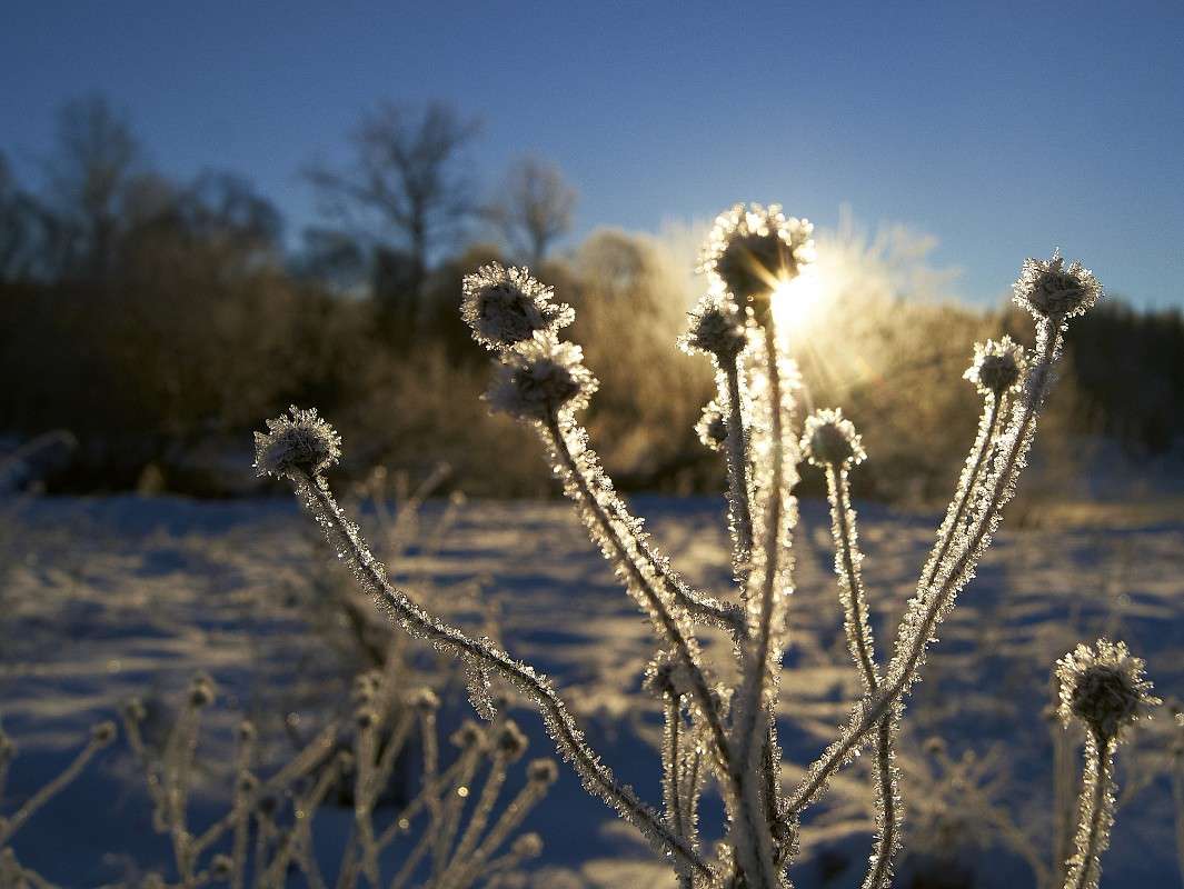 ... ����� �������� ����������� �� PhotoGeek.ru #������ ��� �������