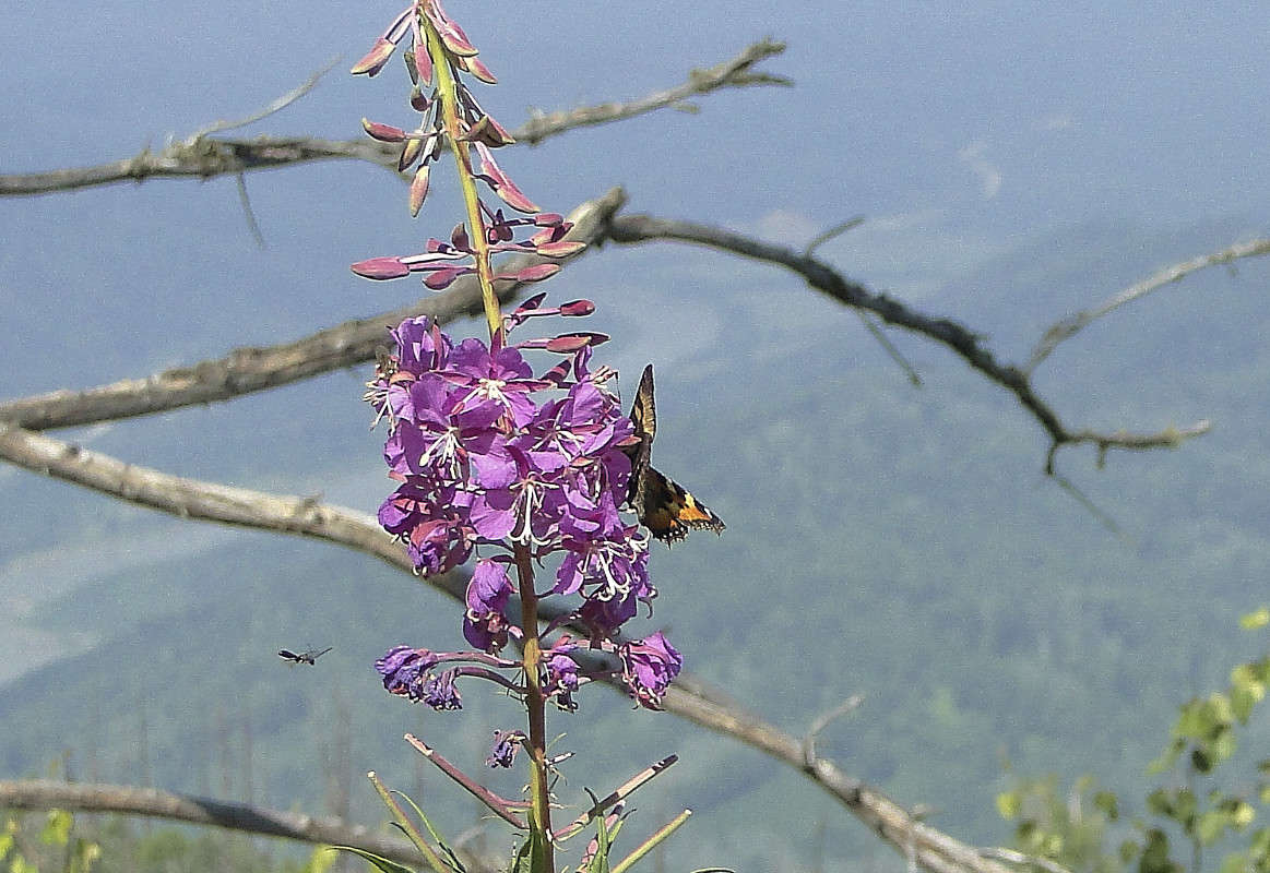 �� ������ 950 ������ ����� �������� ����������� �� PhotoGeek.ru #������ ��� ������� #����� ��������������