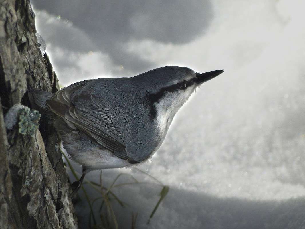 ... ����� �������� ����������� �� PhotoGeek.ru #�������� ��� #����� ��� ��� ���������