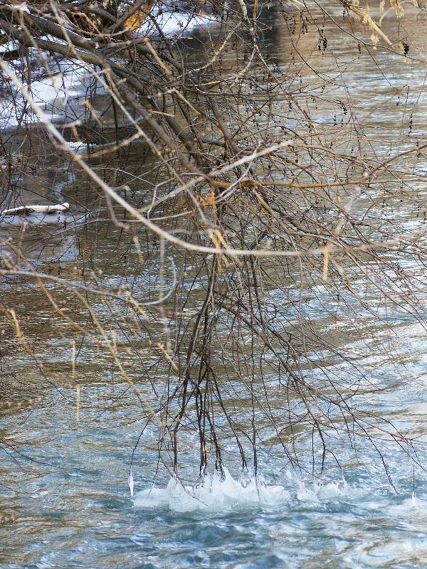 ... ����� �������� ����������� �� PhotoGeek.ru #������ ��� �������