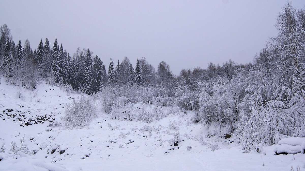 ... ����� �������� ����������� �� PhotoGeek.ru #������ ��� ������� #���������