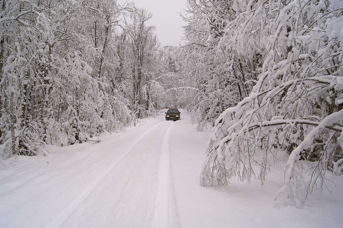 ���������� �����... ����� �������� ����������� �� PhotoGeek.ru #������ ��� ������� #�������� ���������� #���������