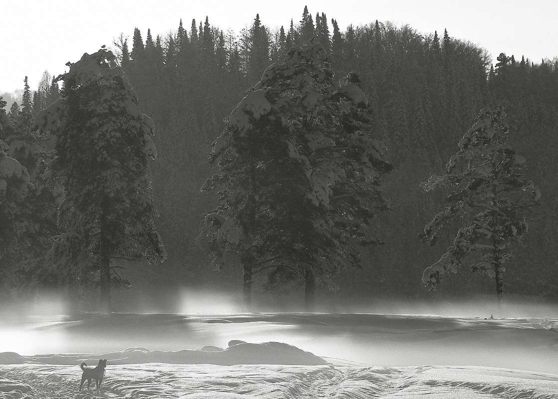 ���� �� ������ ����� �������� ����������� �� PhotoGeek.ru #������ ��� ������� #�����-�����