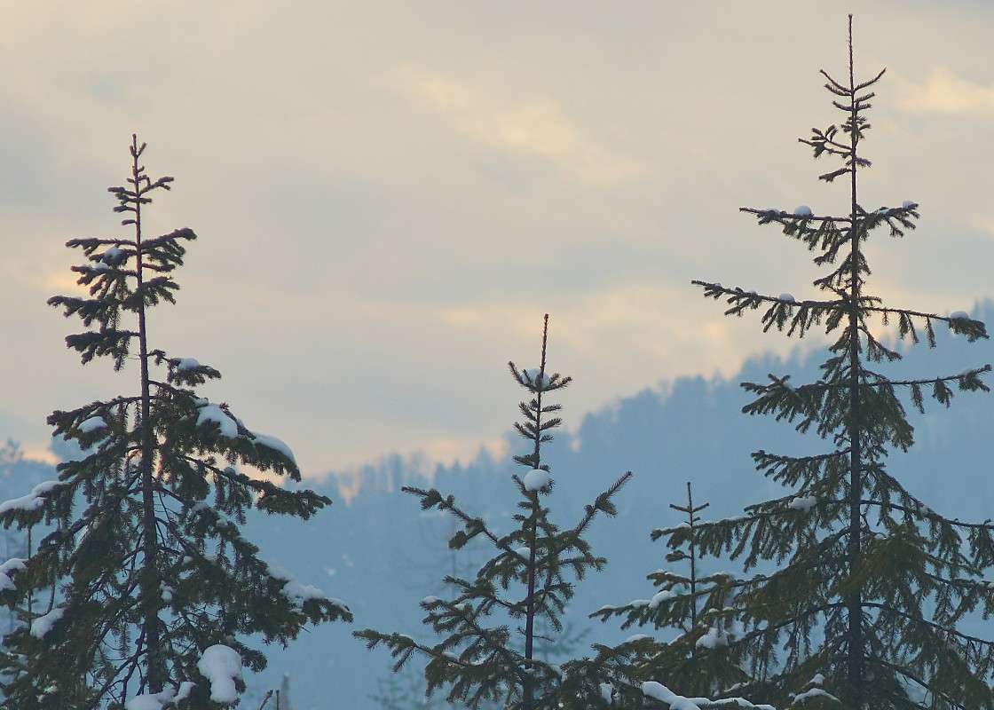 ������� ����� �������� ����������� �� PhotoGeek.ru #������ ��� �������