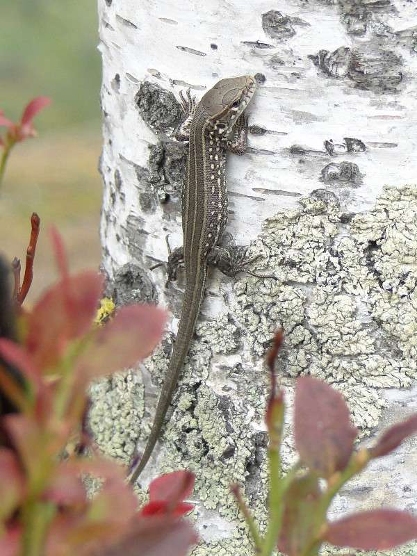 ... ����� �������� ����������� �� PhotoGeek.ru #�������� ��� #����� ��� ��� ���������