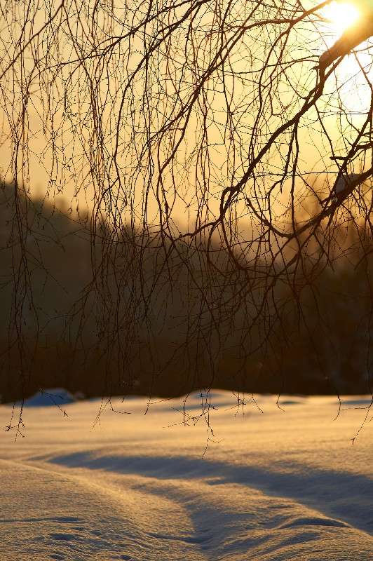 �������� ����� �������� ����������� �� PhotoGeek.ru #������ ��� ������� #���������