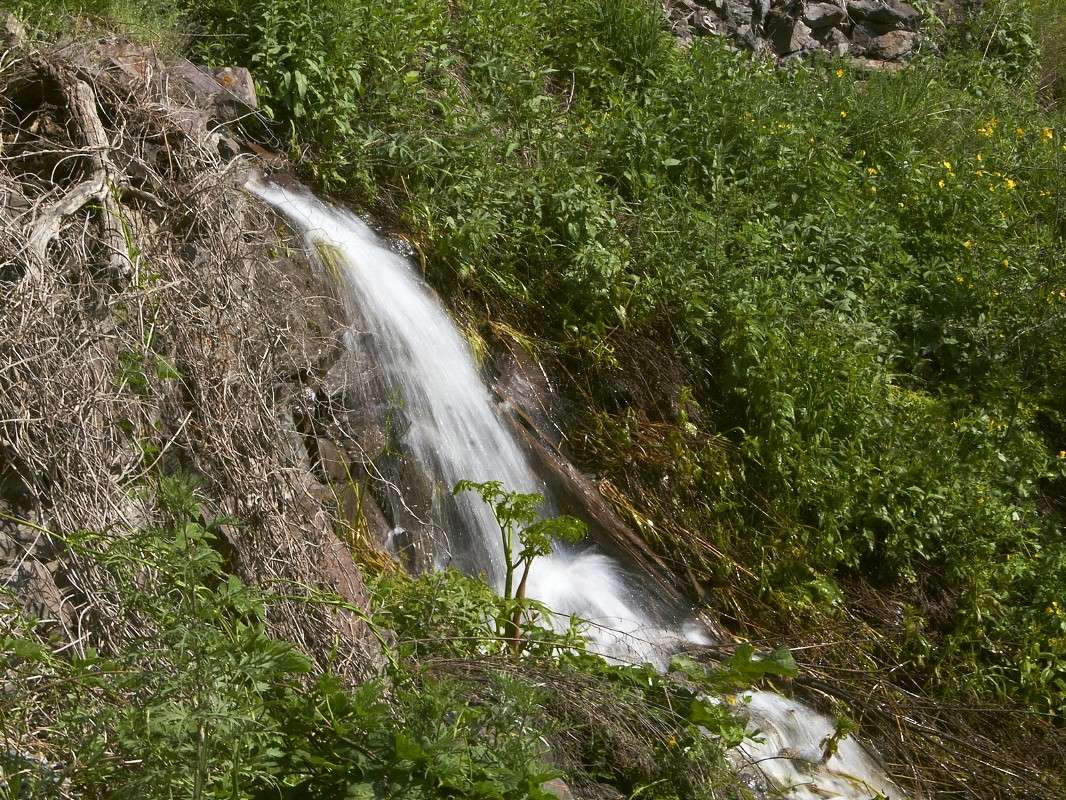 �� �����... ����� �������� ����������� �� PhotoGeek.ru #������ ��� �������