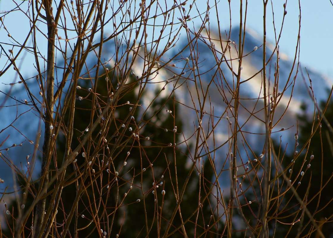 ������ �������... ����� �������� ����������� �� PhotoGeek.ru #������ ��� ������� #���������