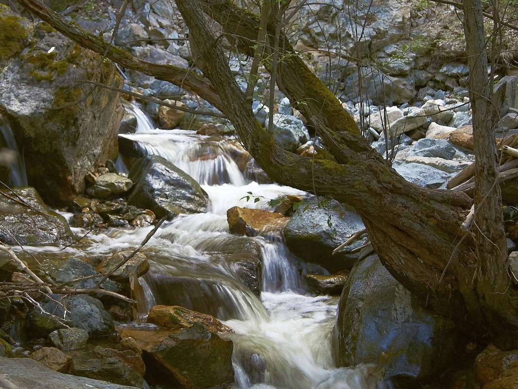 � ������� �� ������� ����� �������� ����������� �� PhotoGeek.ru #������ ��� �������