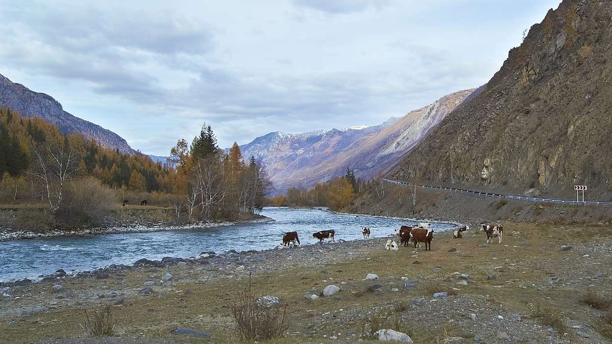 ... ����� �������� ����������� �� PhotoGeek.ru #������ ��� �������