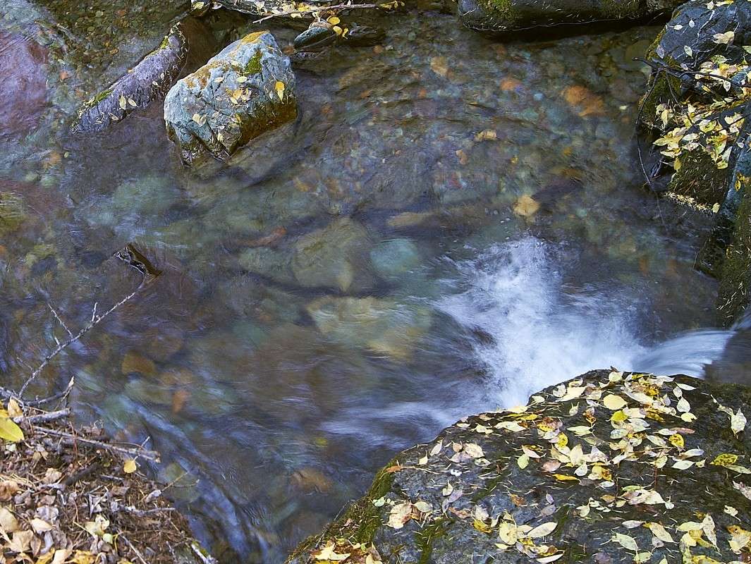 ... � ������� �������� ����� �������� ����������� �� PhotoGeek.ru #������ ��� ������� #���������