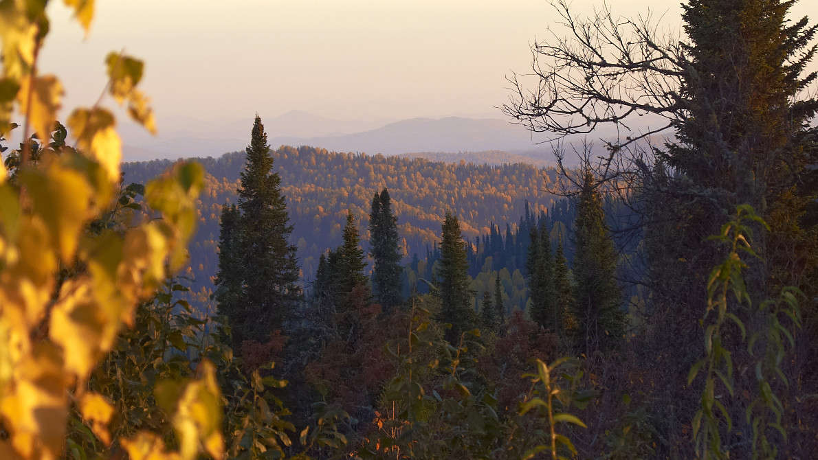 � ����� ����� �������� ����������� �� PhotoGeek.ru #������ ��� ������� #���������