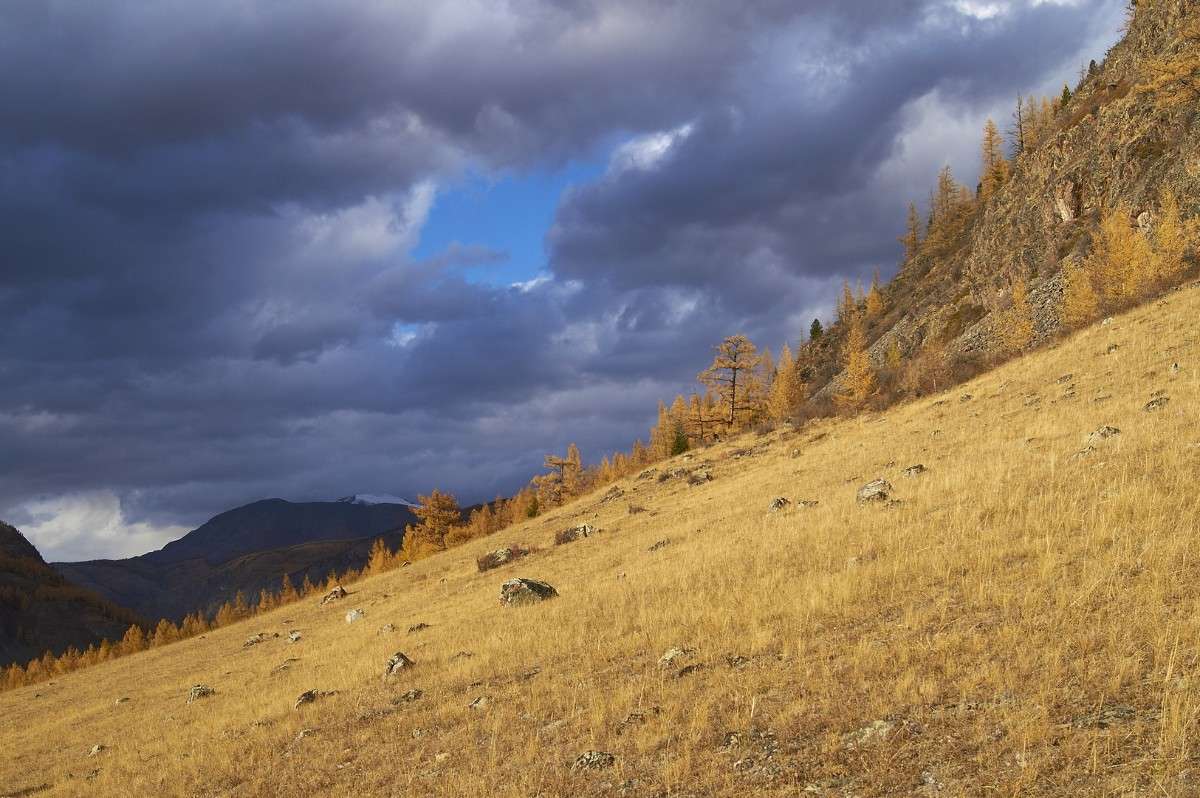 ��������� ����� �������� ����������� �� PhotoGeek.ru #������ ��� ������� #���������