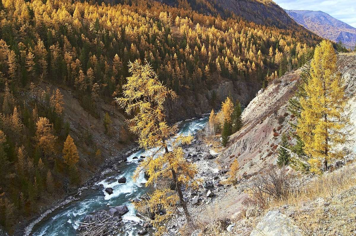 ����������� ������ ����� �������� ����������� �� PhotoGeek.ru #������ ��� �������