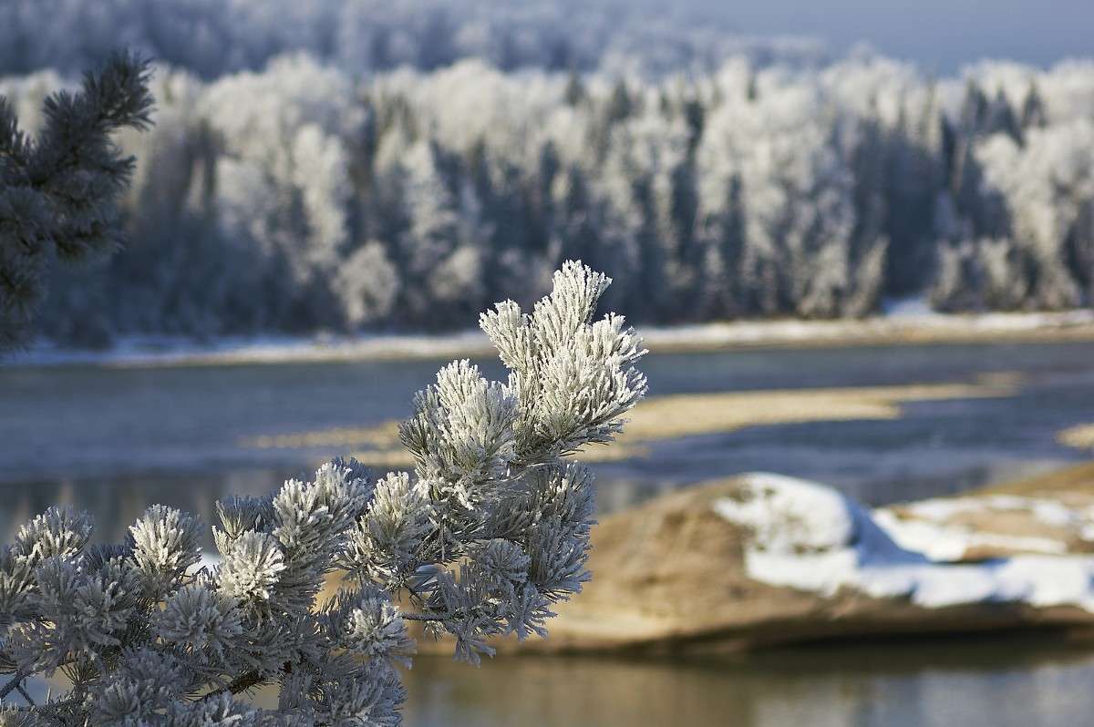 ���������� ����� �������� ����������� �� PhotoGeek.ru #������ ��� ������� #���������