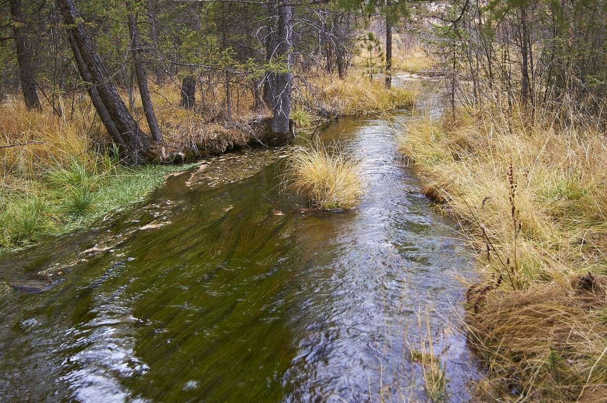 ������� �������� ����� �������� ����������� �� PhotoGeek.ru #������ ��� �������