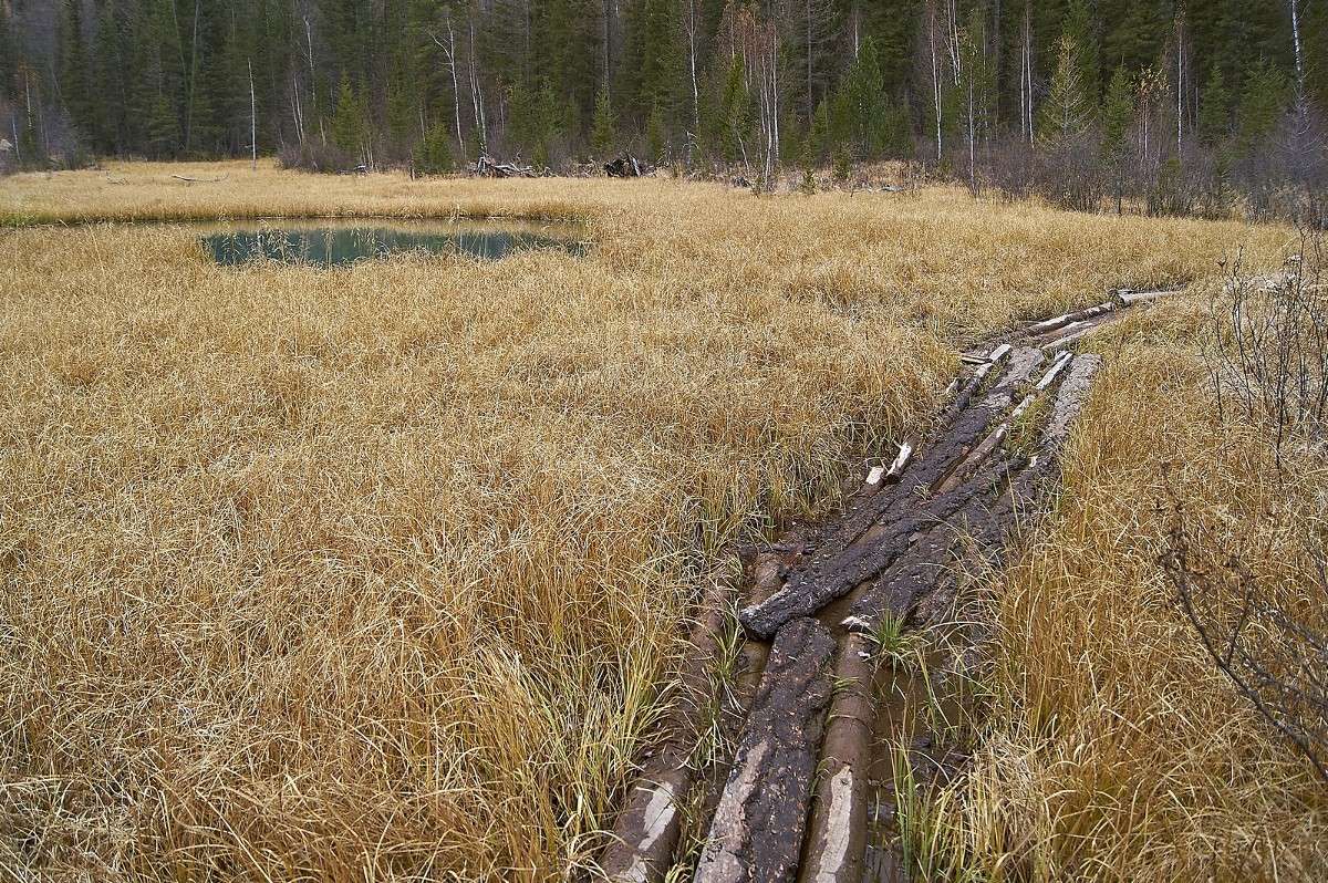 ��������! ����� �������� ����������� �� PhotoGeek.ru #������ ��� �������