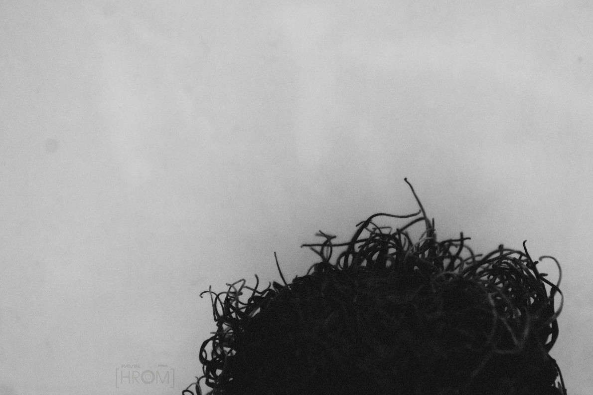 Drought ����� Pavel Hromtsov �� PhotoGeek.ru #����� #���������� #���-����������� #�����-�����