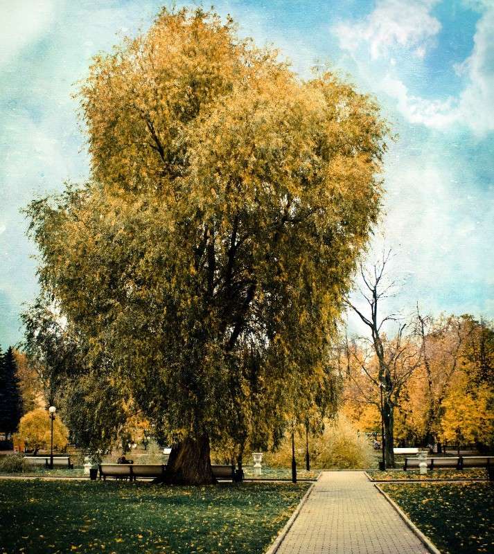 ... ����� ������ ������ �� PhotoGeek.ru #�����