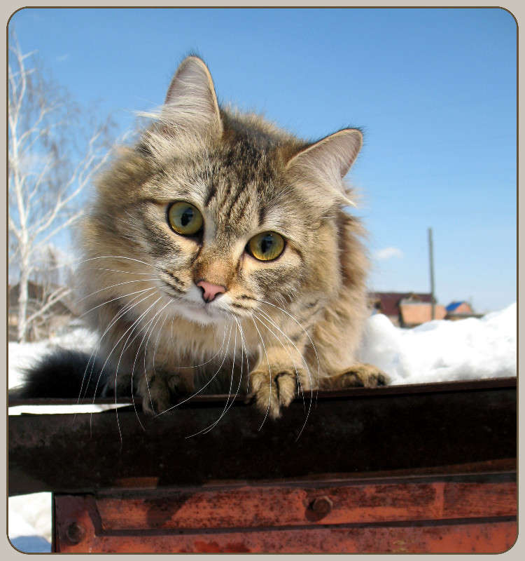 ������ �����,������ �����... ����� Pola20  �� PhotoGeek.ru #�������� ���