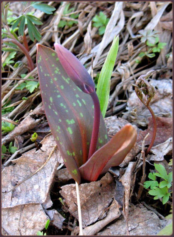 �������� ����� Pola20  �� PhotoGeek.ru #������ ��� ������� #����� ��������������