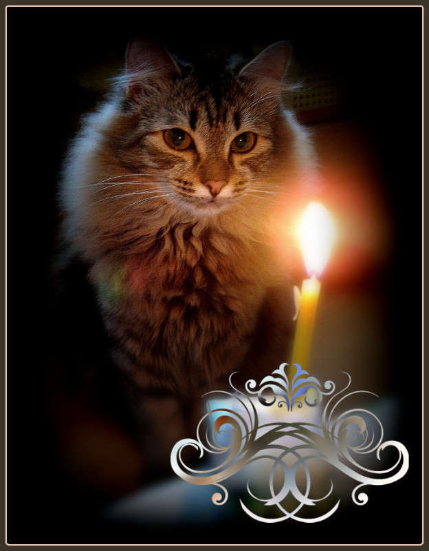 ��������� ����� Pola20  �� PhotoGeek.ru #�������� ��� #���-����������� #�������� ���