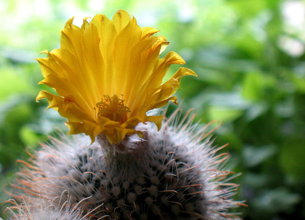 ���������... ����� Pola20  �� PhotoGeek.ru #������ ��� ������� #����� ��������������