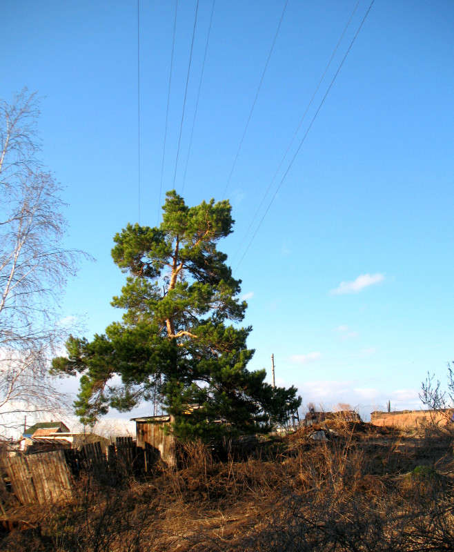 �������� ����� Pola20  �� PhotoGeek.ru #������ ��� ������� #���������