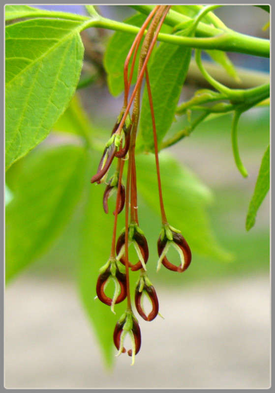 ������ ���... ����� Pola20  �� PhotoGeek.ru #������ ��� ������� #����� ��������������