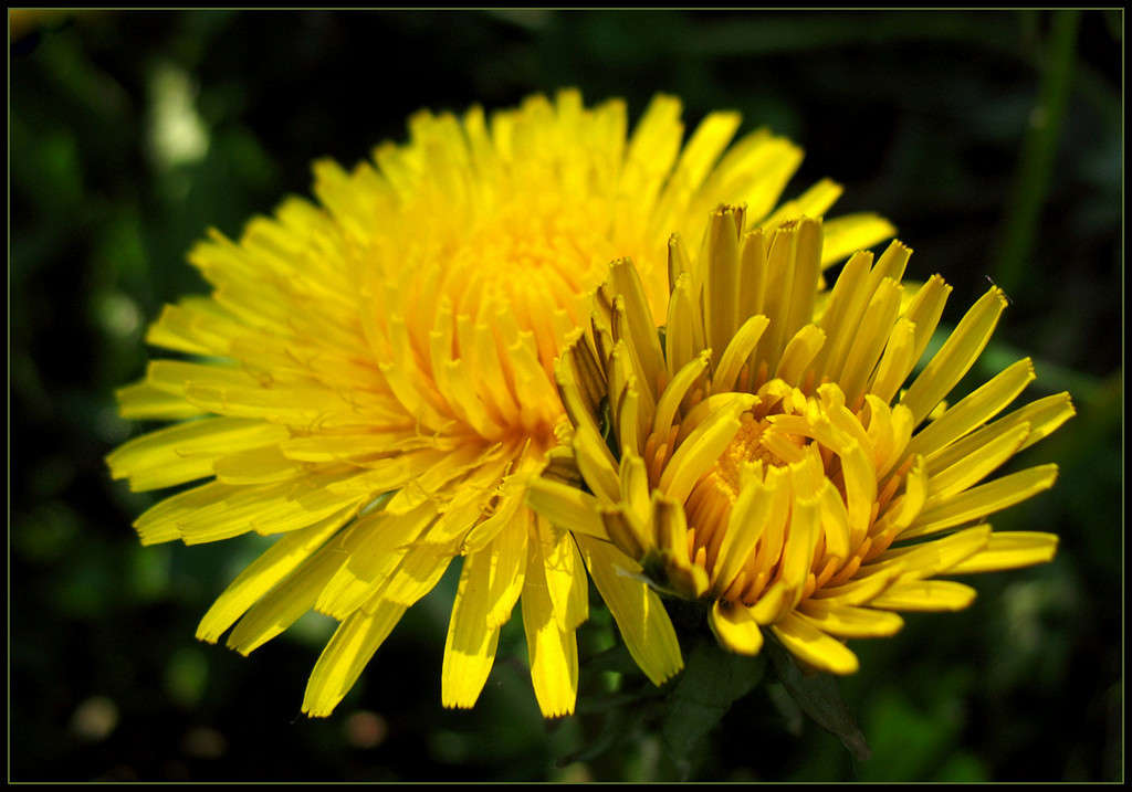 �������� ����� Pola20  �� PhotoGeek.ru #������ ��� ������� #����� ��������������