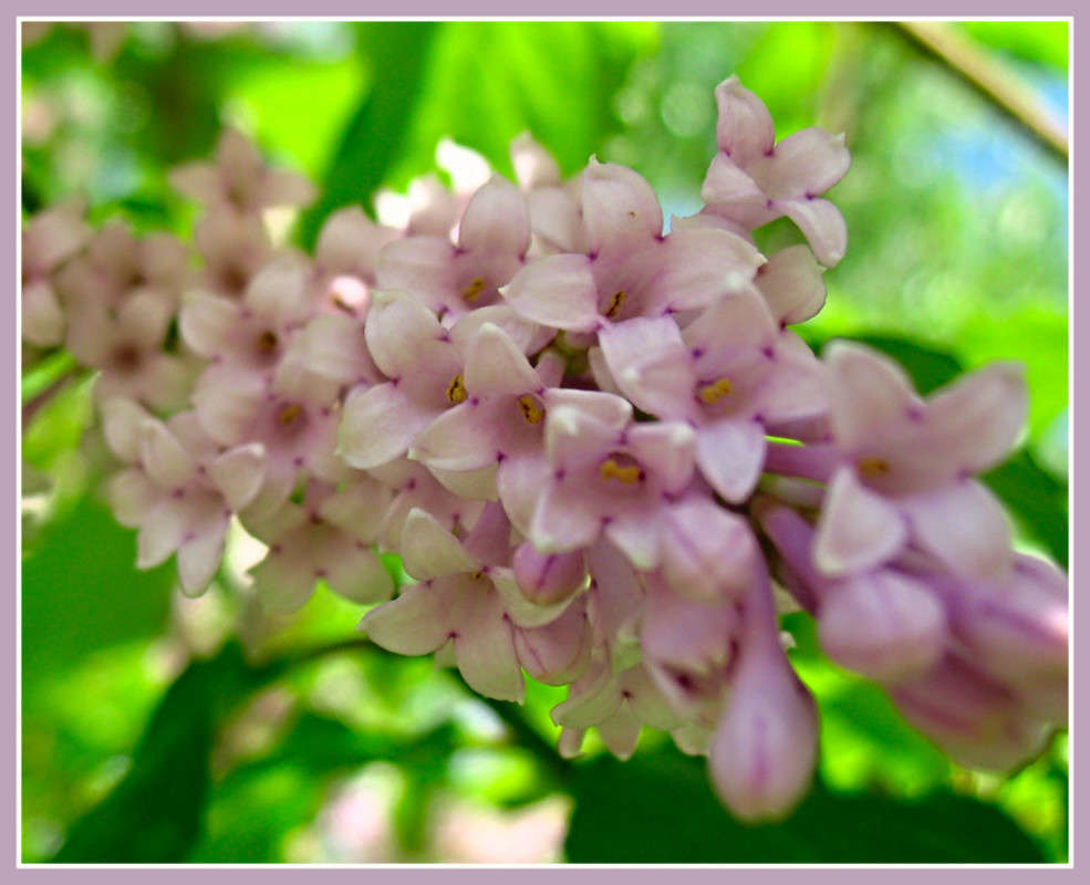 ��������� ����������... ����� Pola20  �� PhotoGeek.ru #������ ��� ������� #����� ��������������