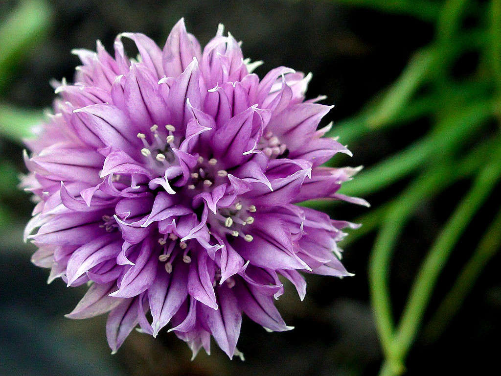 �� �������...))) ����� Pola20  �� PhotoGeek.ru #������ ��� ������� #����� ��������������