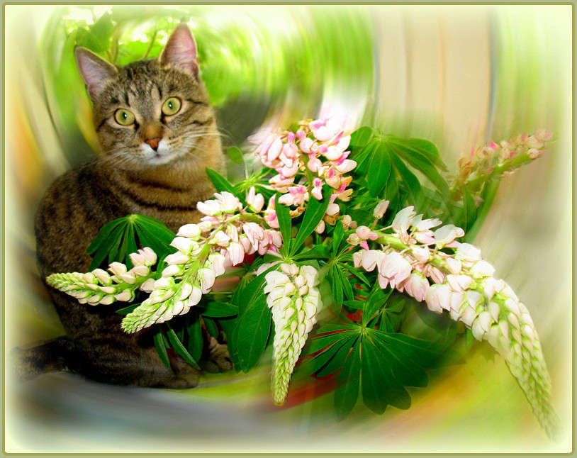 ������� �� ������ ����� Pola20  �� PhotoGeek.ru #�������� ��� #���-����������� #�������� ���