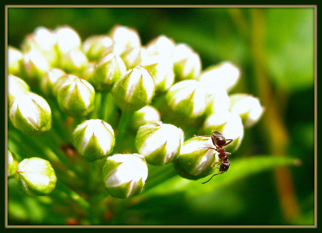 ����� �����))) ����� Pola20  �� PhotoGeek.ru #�����