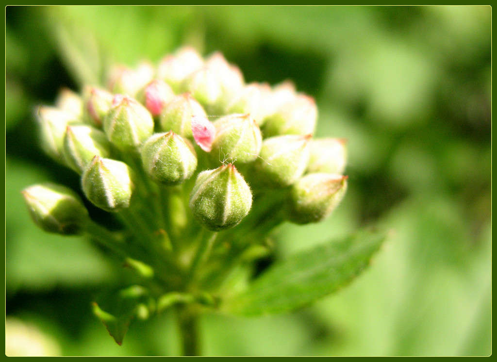 ��������� ����� Pola20  �� PhotoGeek.ru #������ ��� ������� #����� ��������������